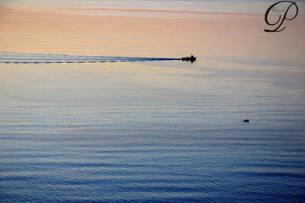Baia Di Trainiti